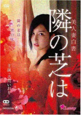 白塔之光修复档案